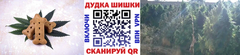 сайты даркнета как зайти  Долгопрудный  Еда ТГК конопля 