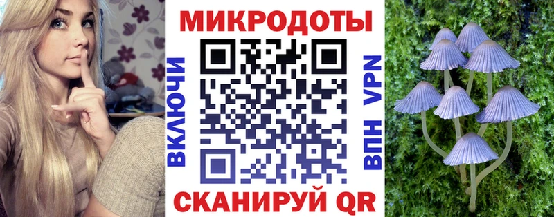 omg ссылка  магазин    Долгопрудный  Псилоцибиновые грибы ЛСД 
