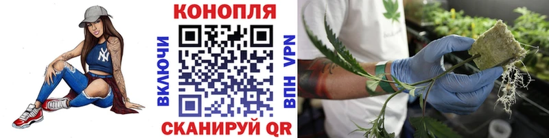 купить наркотики сайты  Долгопрудный  KRAKEN рабочий сайт  Марихуана MAZAR 